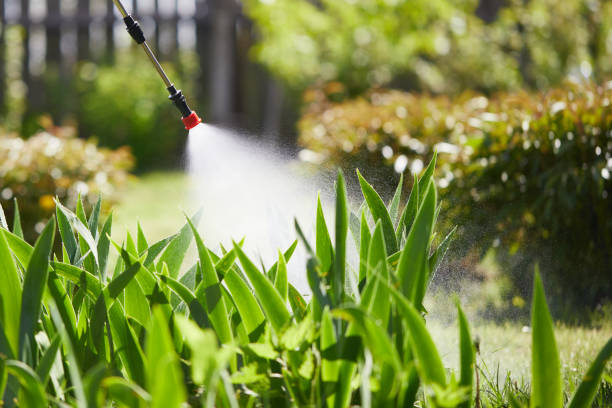 24/7 Emergency Wasp Removal experts in Glendive, MT