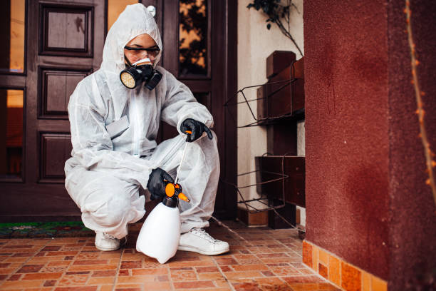 Reliable Wasp Removal contractor in Glendive, MT by Show Me Pest Control